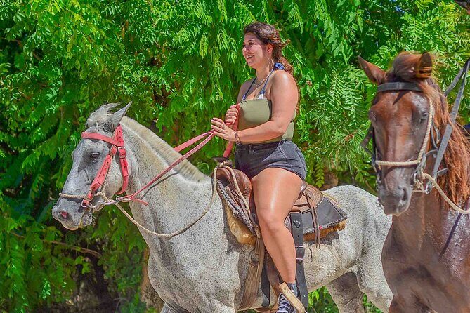 Punta Cana Beach Horseback Ride Paradise Coast Experience - Analyzing the Value and Price