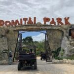 Punta Cana Buggy Adventure - An In-Depth Look at the Punta Cana Buggy Adventure