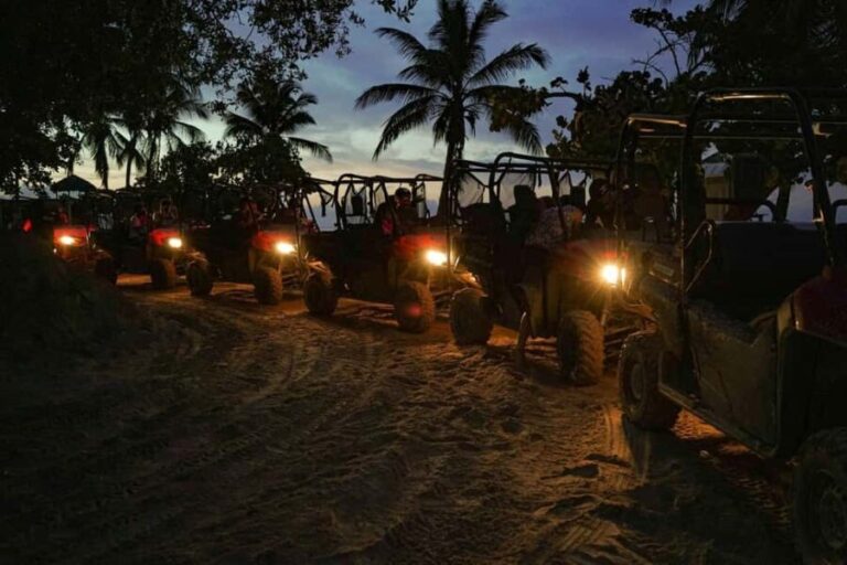 Punta Cana: Buggy Ride, Dinner and Taino Party - Dinner and the Taino Carnival