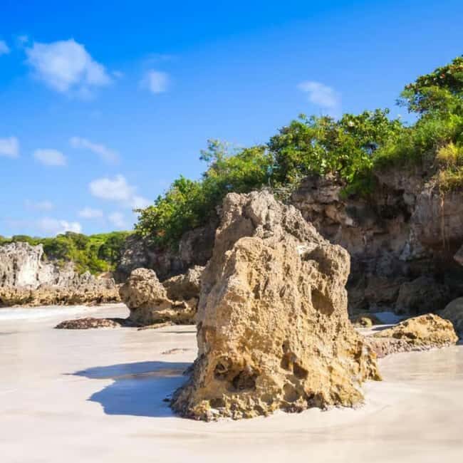 Punta Cana: Buggy Tour with Macao Beach Visit - Detailed Breakdown of the Itinerary