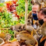 Punta Cana Buggy Tours Cenote Cave, Beach - A Closer Look at the Tour Itinerary and Highlights