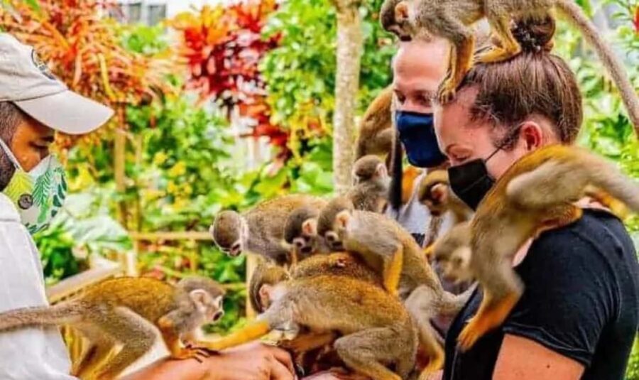 Punta Cana Buggy Tours Cenote Cave, Beach - A Closer Look at the Tour Itinerary and Highlights