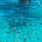 Punta Cana: Catalina Island Diving And Snorkeling - What’s Included and Not Included