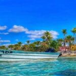 Punta Cana: Catalina Island Snorkeling Tour with Lunch - The Details That Matter