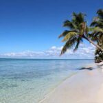 Punta Cana: Catamaran Boat to Saona Island with Buffet Lunch - The Genuine Review Perspective