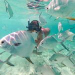 Punta Cana Coral Reef Restoration & Snorkelling Experience - The Sum Up
