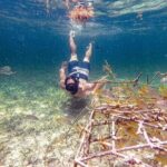 Punta Cana Coral Reef Restoration & Snorkelling Experience - Practical Details: What to Expect
