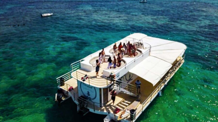 Punta Cana Culinary sunset party on a luxury catamaran - Detailed Breakdown: What Makes the Experience Stand Out