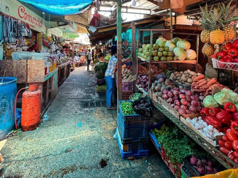 Punta Cana Cultural Tour History and Traditions Small Group - What Travelers Say