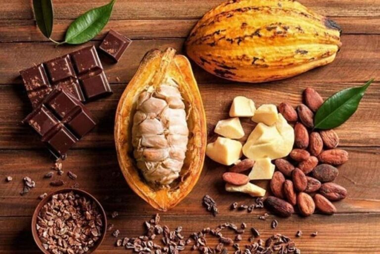 Punta Cana: Cultural Tour with Coffee Tasting, Cocoa & Lunch - Transportation and Group Dynamics