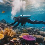 Punta Cana: Dive the Coral Paradise of Catalina Island - What We Like and What to Keep in Mind
