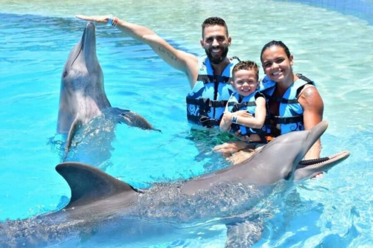 Punta Cana: Dolphin Discovery Park Tour with Hotel Transfers - The Sum Up