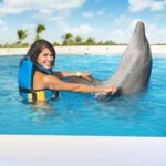 Punta Cana: Dolphin Interaction Experience & Hotel Transfers - The Value of the Experience