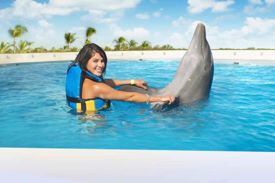 Punta Cana: Dolphin Interaction Experience & Hotel Transfers - The Value of the Experience