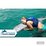 Punta Cana: Dolphin Park Entry and Swim with Dolphins - The Value Question: Is It Worth It?