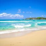 Punta Cana Excursions & Tours - Punta Cana Adventures - What to Expect from the Experience