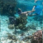 Punta Cana: Full-day Snorkelling Tour in Catalina Island - An Overview of the Experience