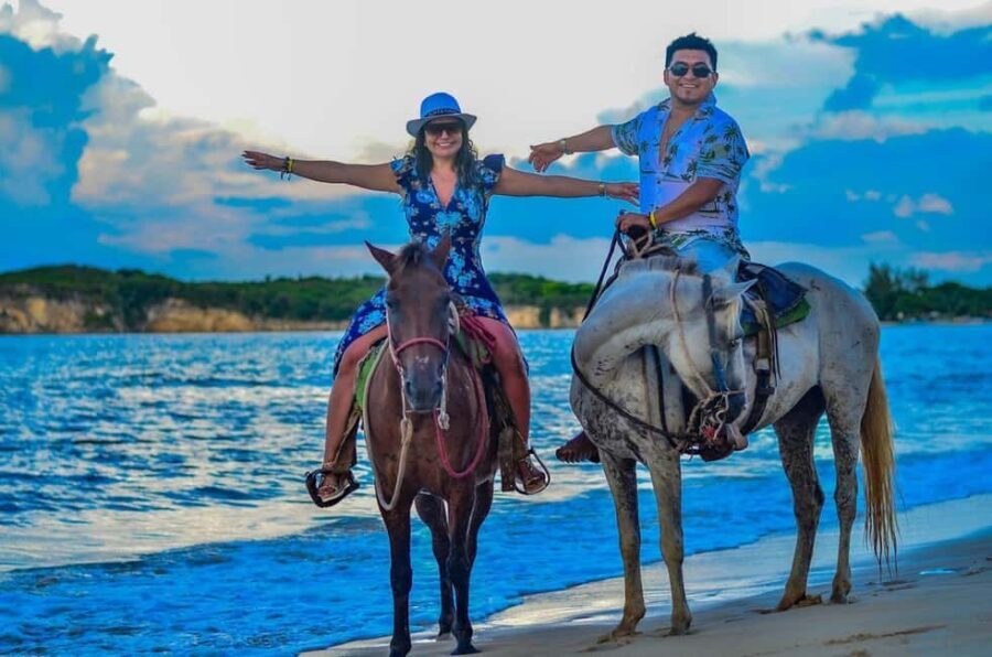 Punta Cana: Guided Horseback Tour of Beaches and Fields - What Makes This Tour Stand Out