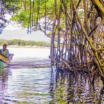 Punta Cana: Haitises, Montaña R. & Horse Ride Limón Beach - The Traditional Dominican Lunch