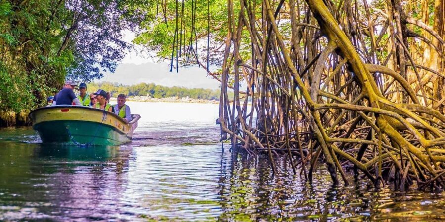 Punta Cana: Haitises, Montaña R. & Horse Ride Limón Beach - The Traditional Dominican Lunch
