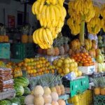 Punta Cana Half-Day Cultural Safari with Lunch and Drinks - FAQs