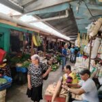 Punta Cana: Higuey City Tour - Visit the Basilica Cathedral - What Makes This Tour Stand Out