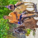 Punta Cana Horse and Buggy Adventure Tour - What to Expect from the Experience