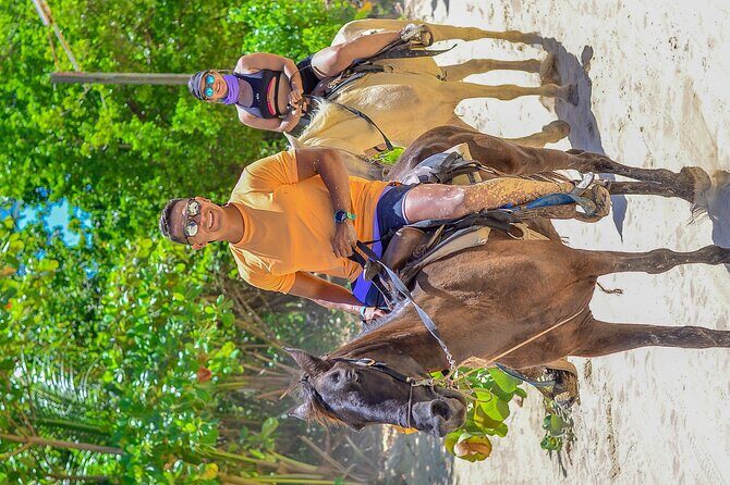 Punta Cana Horse and Buggy Adventure Tour - What to Expect from the Experience