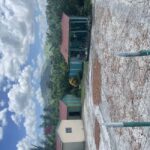 Punta Cana: Horseback Riding Adventure with Transfers - Authentic Experiences that Add Value