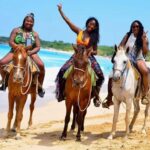 Punta Cana: Horseback riding on the beach with pickup - What to Expect at Each Stop