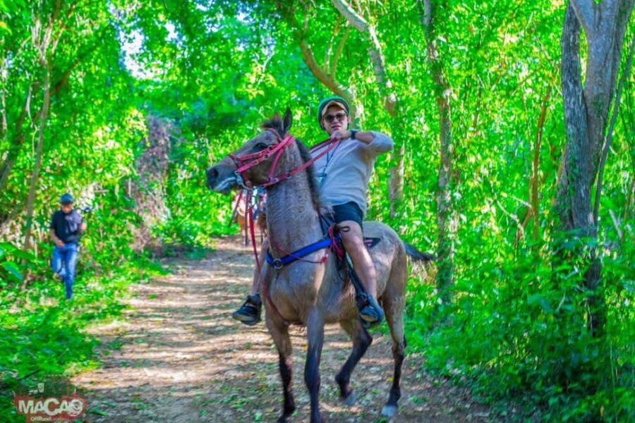 Punta Cana Horseback riding & Sunset + beach + free pick-up - What to Expect: Riding, Views, and Authenticity