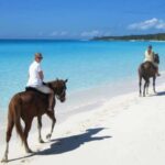 Punta Cana: Horseback Riding through Stunning Beaches - What Makes This Tour Special?