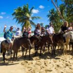 Punta Cana: Horseback Scenic Adventure to Montaña Redonda - Transportation and Group Size