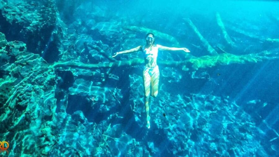 Punta Cana: Hoyo Claro Cenote and Juanillo Beach Tour - In-Depth Breakdown: Why This Tour Works