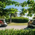 Punta Cana: Iguana Sanctuary, Sailing & BBQ Tour - Practical Details and What to Expect