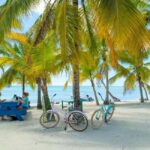 Punta Cana: Isla Saona Day Trip with Catamaran Cruise - Who Should Consider This Tour?