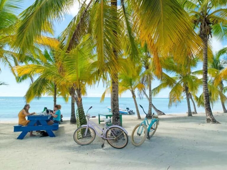 Punta Cana: Isla Saona Day Trip with Catamaran Cruise - Who Should Consider This Tour?