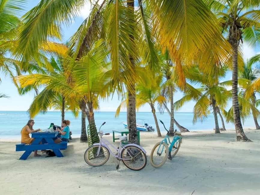 Punta Cana: Isla Saona Day Trip with Catamaran Cruise - Who Should Consider This Tour?