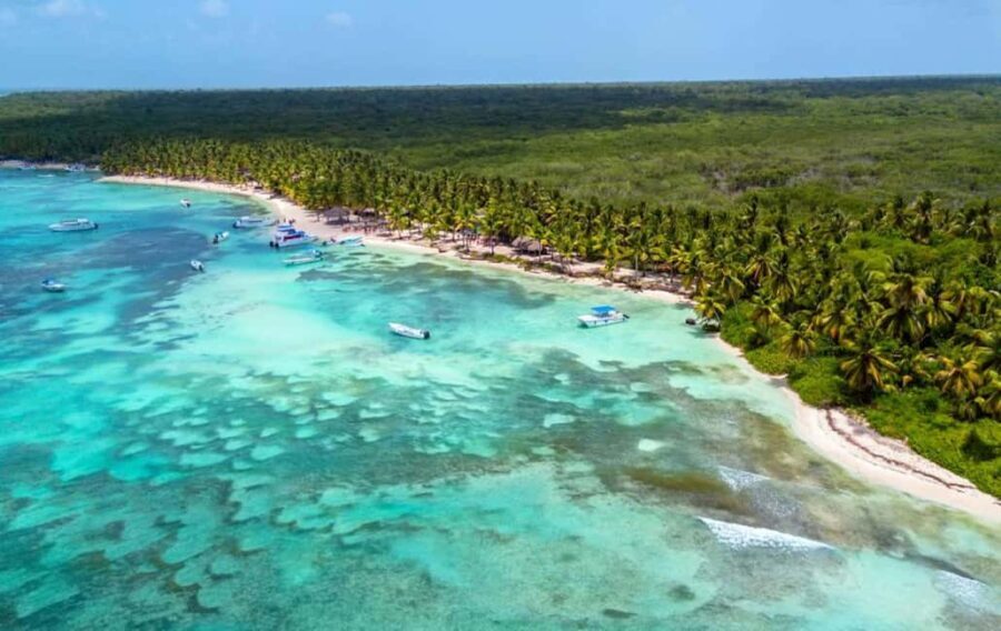 Punta Cana: Isla Saona Speedboat Tour with Snorkeling - Why This Tour Could Be a Great Choice