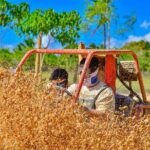 Punta Cana Jungle Buggy Tour: Macao Beach Visit and Cenote Swim - The Sum Up