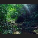 Punta Cana: Los Haitises Hike & Kayaking Mangroves - Who Should Consider This Tour?