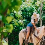 Punta Cana: Los Haitises National Park Horseback & Boat Tour - Transportation, Duration, and Group Dynamics