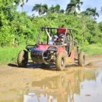 Punta Cana: Macao Beach and Cenote Buggy Adventure - An In-Depth Look at the Experience