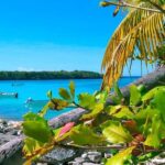 Punta Cana or La Romana: Catalina Island Tour and Snorkeling - What Could Be Better?