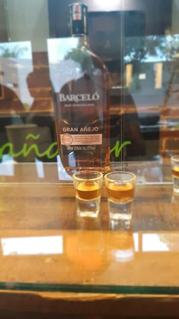 Punta Cana: Private Dominican Flavors Cultural Half-Day Trip - Who Should Consider This Tour?