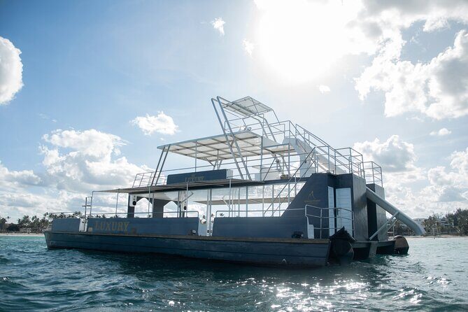 Punta Cana Private Mega Catamaran Tour with Snorkeling and Bar - Experience Overview: A 3-Hour Sea Adventure