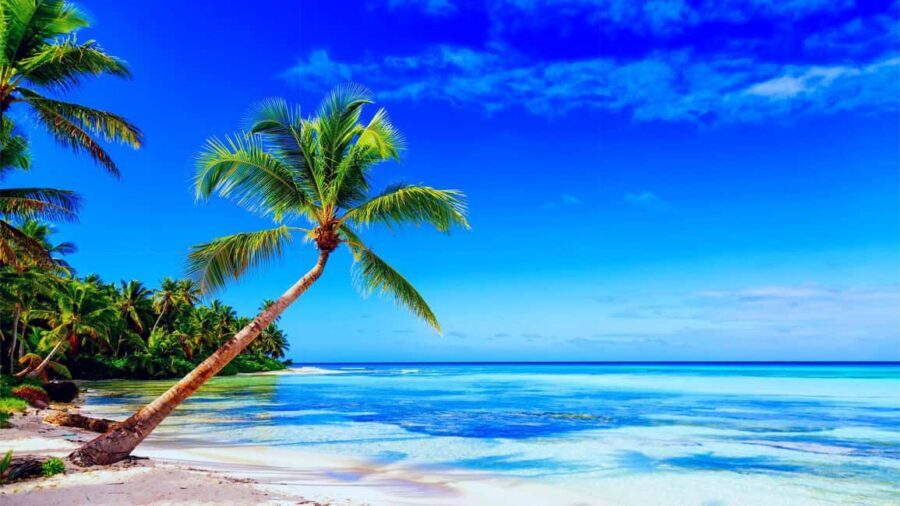 Punta Cana: Samaná Day Tour with Horse Ride and Cruise - Authentic Experiences and Hidden Gems