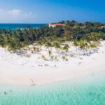 Punta Cana: Samana Full Day Trip Whale Cascada El Limon - Final Thoughts: Who Is This Tour Best For?