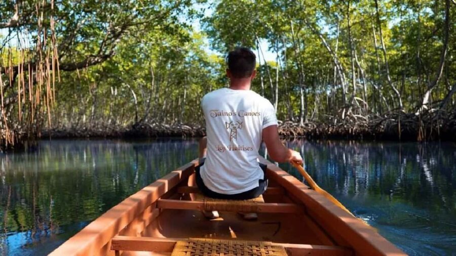 Punta Cana: Samaná Peninsula & Cayo Levantado Day Trip - Practical Details and Tips