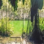 Punta Cana: Santo Domingo Private Day Trip with Lunch - The Overall Experience and Practicalities